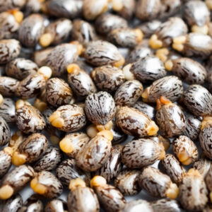 Castor Oil (Ricinus Communis)