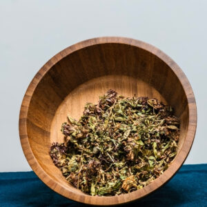 Red Clover (Trifolium Pratense)