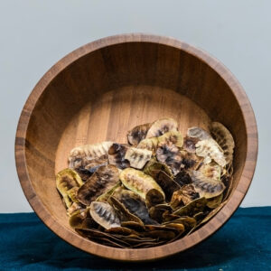 Senna Pod (Cassia Officinalis)